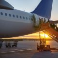 people in a line going up stairs to a plane door with the sun setting in the background